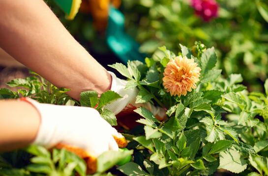 Cape Cod Bookkeeper Cape Cod Bookkeeper